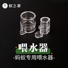 蚂蚁喂水器喂食器宠物用品爬宠蟋蟀喂水器宠物蚂蚁喂水器