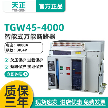 tengen天正电气 tgw45-4000 4000a 3200a万能式断路器 框架断路器