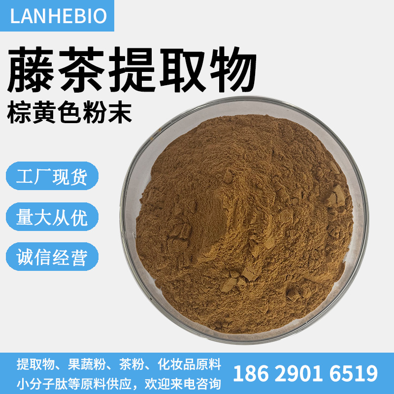 藤茶提取物101藤茶粉喷干粉藤茶萃取浸膏粉现货供应