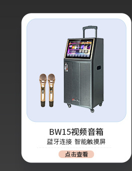 霹雳舞t12三分频木质箱交直流两用户外弹唱广场舞便携式拉杆音箱