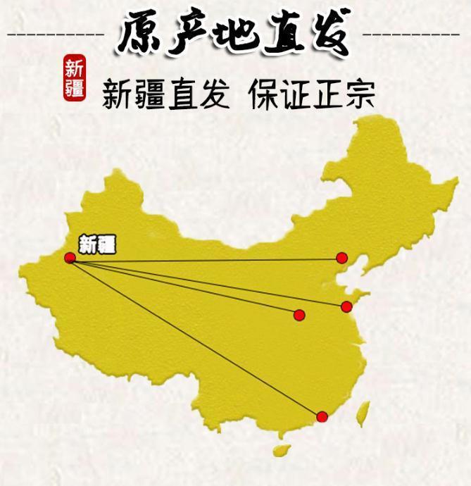吊干杏干天然新疆特产2021年新货特级树上干杏脯新疆杏干