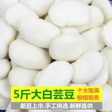 大白芸豆2023今年新货 云南特产农家大白豆白云豆类杂粮粗粮包邮