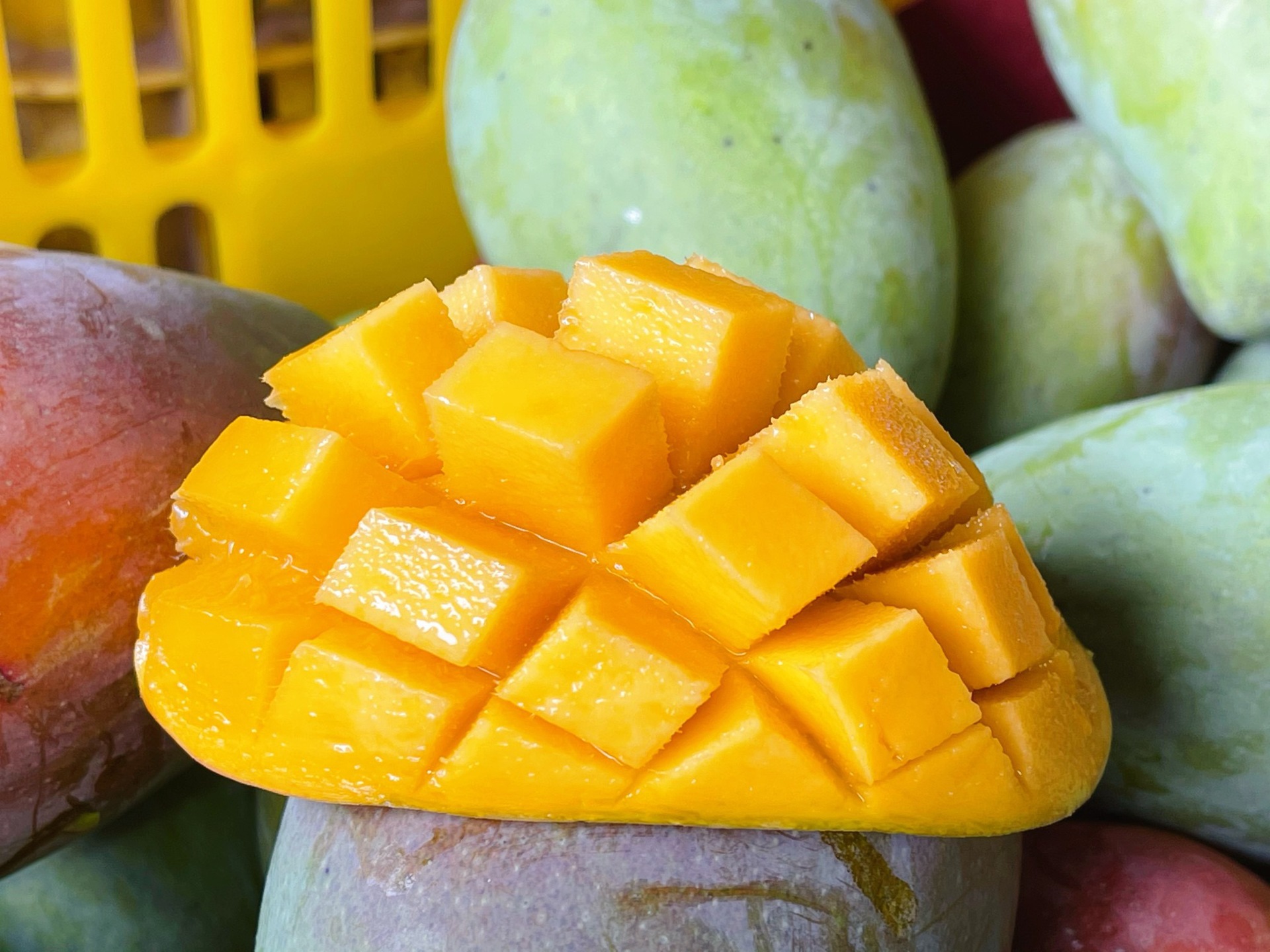 【密柚水果】-密柚水果厂家,品牌,图片,热帖-阿里巴巴