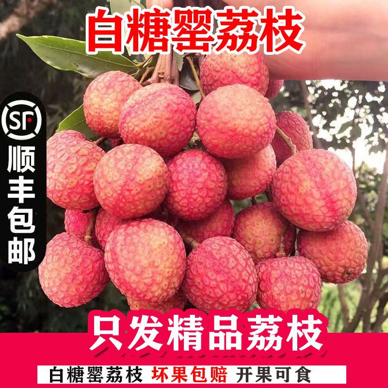 荔枝白糖罂新鲜现摘广东当季贵妃优质水果2.8/4.