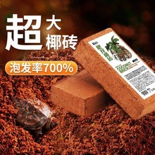 yee乌龟冬眠用品爬宠椰土椰砖巴西草龟垫材保暖过冬苔藓沙子套装