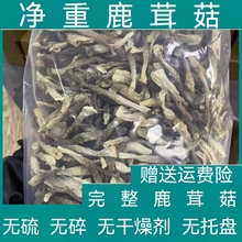 鹿茸菇干货500g包邮鹿茸菌非特级鹿茸菇云南特产脆脆菇煲汤材香菇