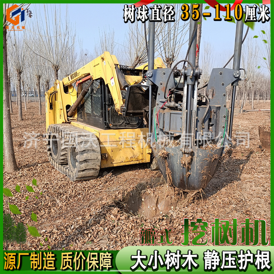 绿化改造树木移栽机 60 80土球挖树机 全自动小型起树机图片