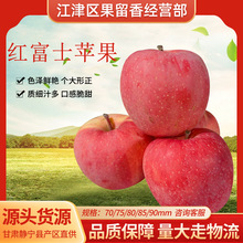 果园采摘产地直供甘肃静宁脆甜红富士苹果水果整箱整件现货批发