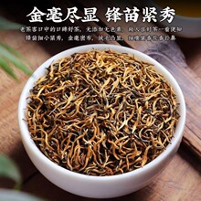 金骏眉红茶特级正宗浓香型正山小种2024新茶叶蜜香养胃茶散装500g