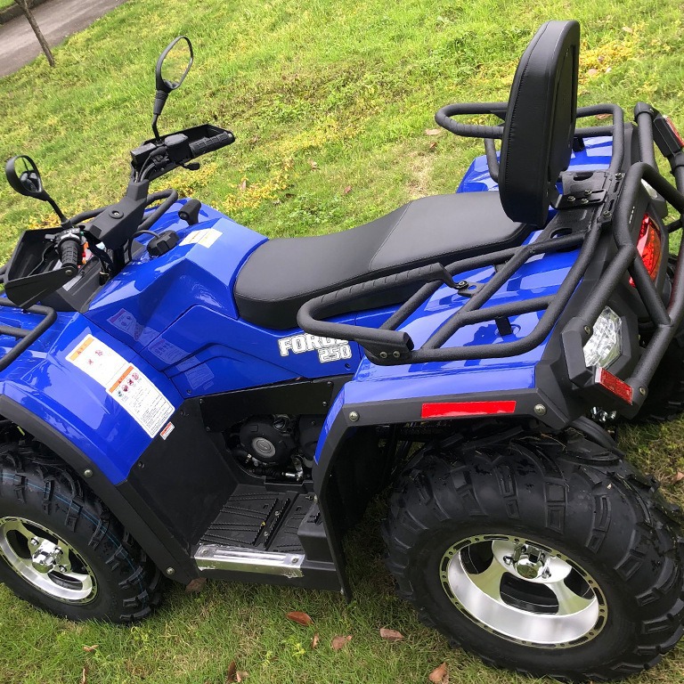 跨境出口250cc 4冲程成人四轮摩托车全地形越野摩托山地越野车