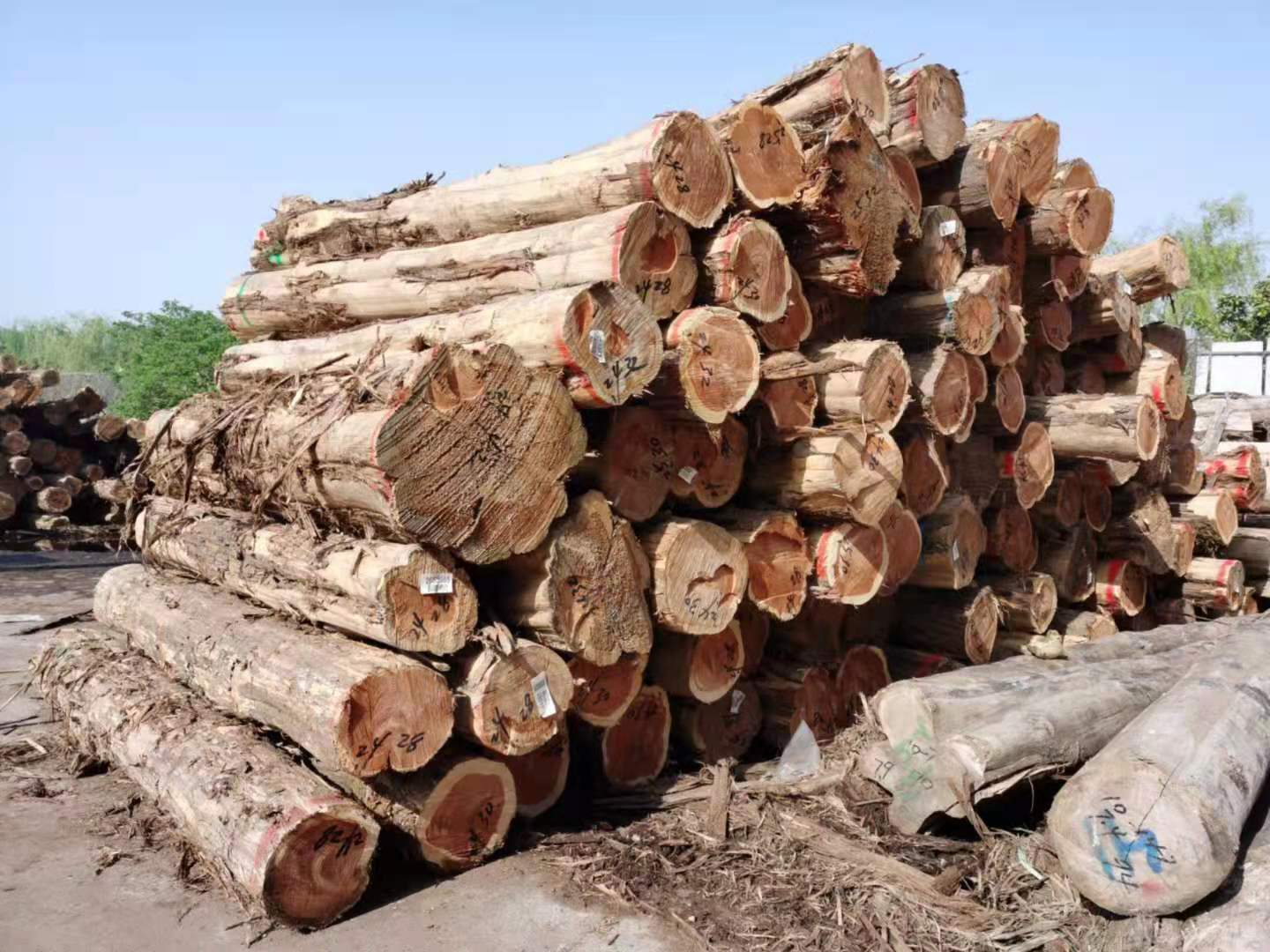 定制红雪松木方板材红香柏木古建圆柱防腐木工程柏木板定尺加工