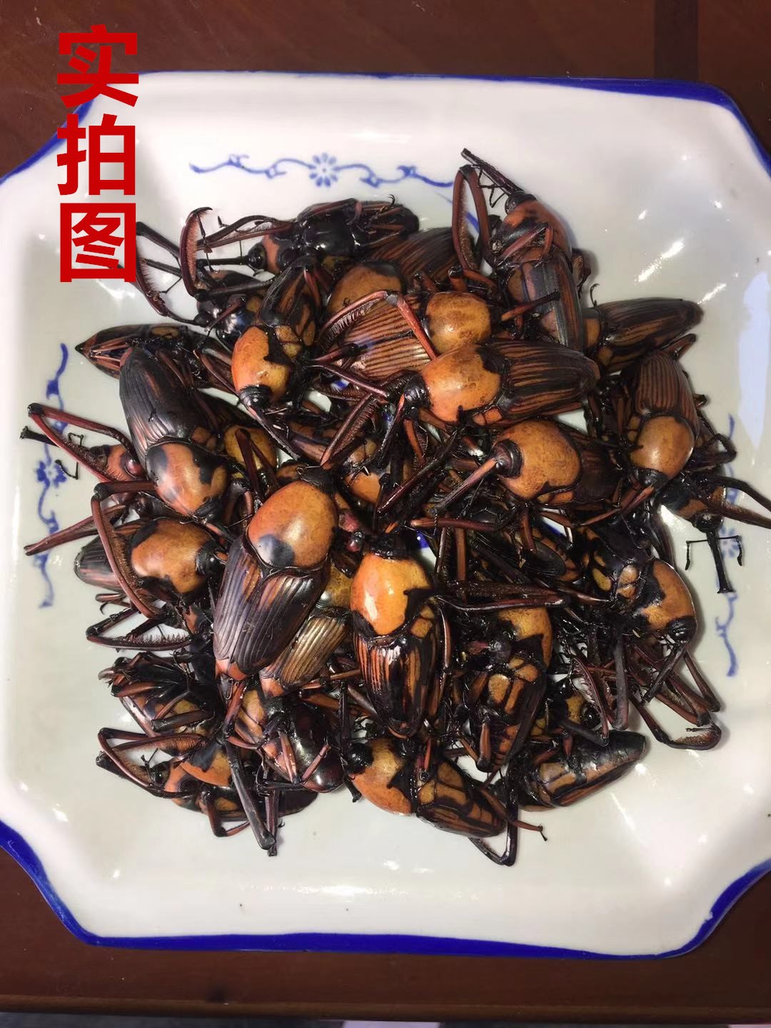 鲜活速冻竹笋象虫笋苞竹虫食用昆虫象竹鼻虫美味长鼻子虫烧烤食材