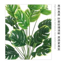 塑料绿草高枝插花树枝仿生散尾葵高品质绿萝假绿植造景单枝花