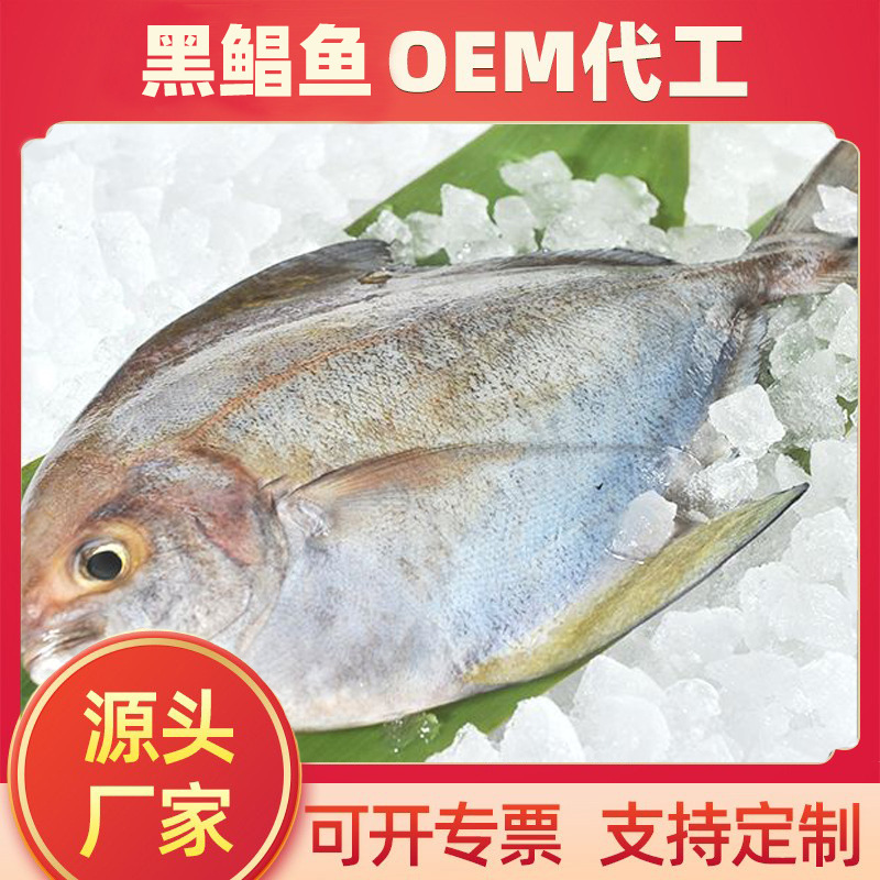 黑鲳鱼厂家oem代工冰鲜鱼片半成品商用 冷冻生鲜鱼肉批发深海海鲜