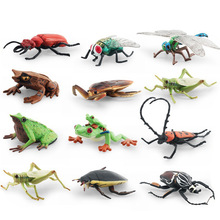 源头厂家儿童认知仿真昆虫模型蚂蚱苍蝇甲虫蜻蜓青蛙静态摆件玩具