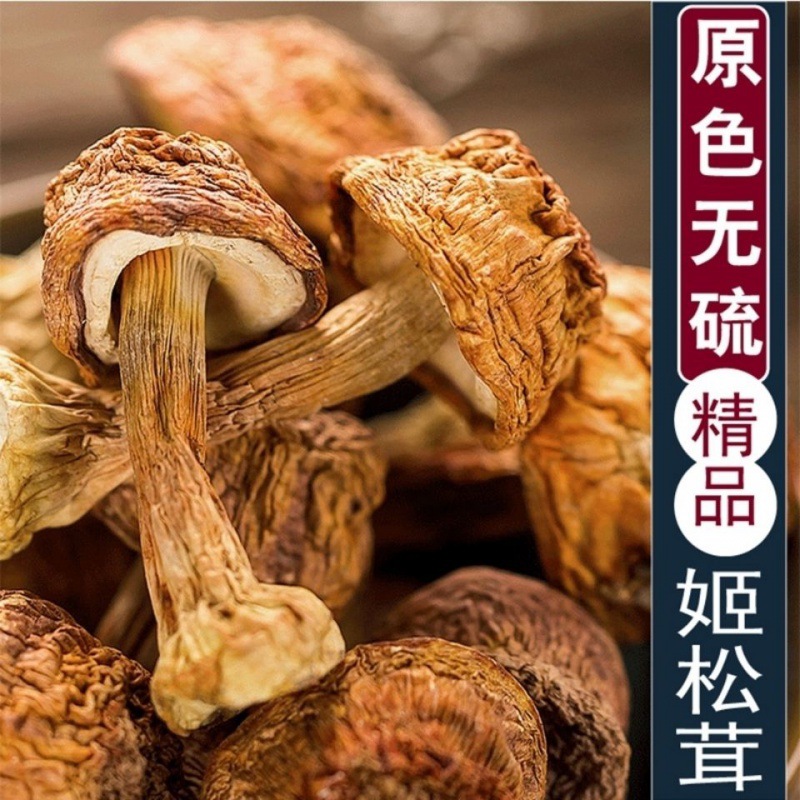 东北大兴安岭特产姬松茸菌菇无硫松茸新鲜煲汤东北