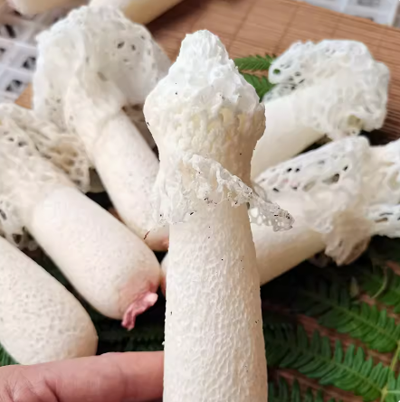 野生竹荪无硫竹笙食用菌干货500g特产煲汤食材23年新货