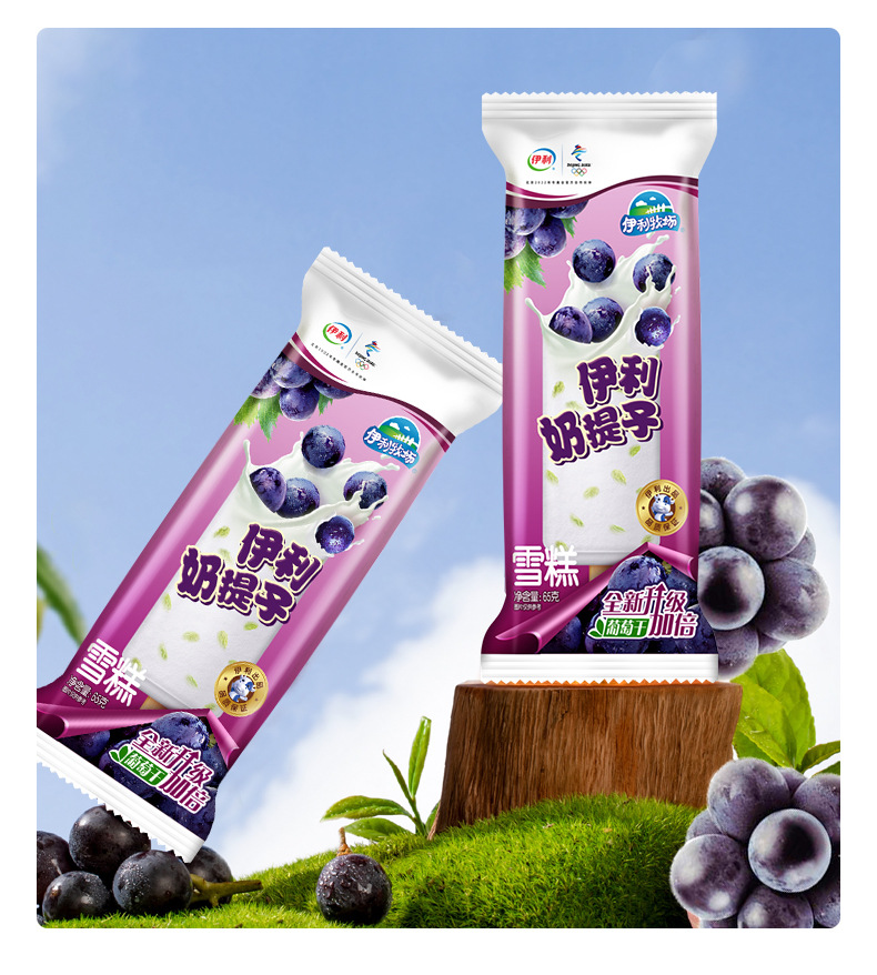 牧场奶提子香浓牛奶味蜜渍葡萄干雪糕冰淇淋冰棒批发65g 整件批发