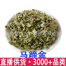 源头批发马蹄金小叶金钱草金前草小金钱草过路黄