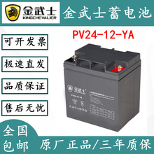 金武士PV12V100AH直流屏PH12V65AH/PW38-2/PV24-12-YA17a7a蓄电池