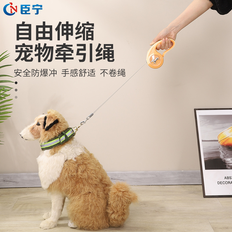 小方格胸背 狗狗牵引绳胸背带提花牵引小狗胸背针织带 批发狗绳子