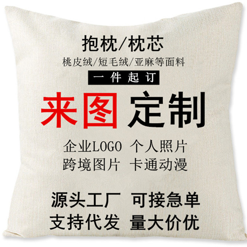 Pillow Custom Logo Amazon Pillow Sofa Cushion Short Plush Pillow Cover Multifunctional Dual-Use Pillow Quilt