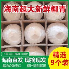 海南新鲜椰子椰青批发可一件代发9个开盖椰肉椰球4个开椰器产地果