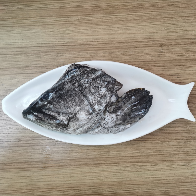 鲜活冷冻石斑鱼头珍珠龙胆 龙趸斑 深海养殖中餐食材围餐批发