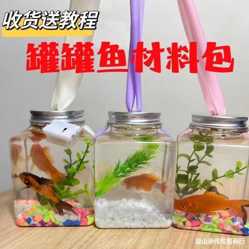 Stall New Project Stall New Product Internet Celebrity Luminous Cans Fish Park Square Night Market Hot Sale Hot Sale Small Goldfish