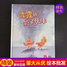 正版硬壳批发露露的影子伙伴 4-6岁儿童早教认知绘本精装硬壳