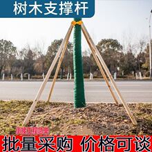 树木支撑架套杯大树支撑绿化支架支撑器园林行道树防风支撑松木棍