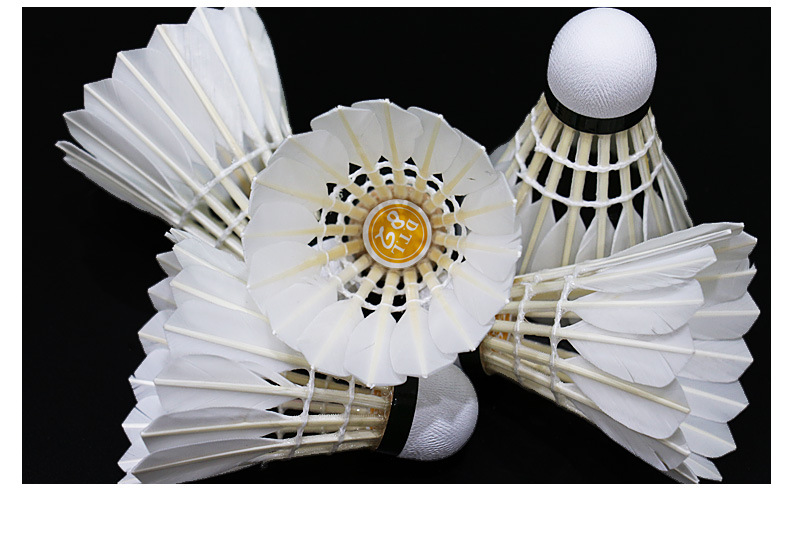 亚狮龙/rsl 大桐利系列羽毛球 dtl-81 82 83 84 85俱乐部训练用球