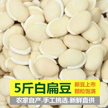 新货白扁豆云南农家自种特级正宗老品种白扁豆