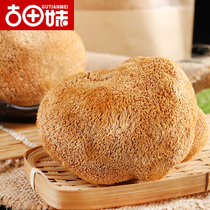 古田妹农家猴头菇干货150新货福建特产野生蘑菇食用菌深山猴头菌