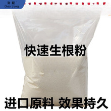 快速生根粉扦插用树木花卉生根粉发根剂液植物通用生根剂包邮新品