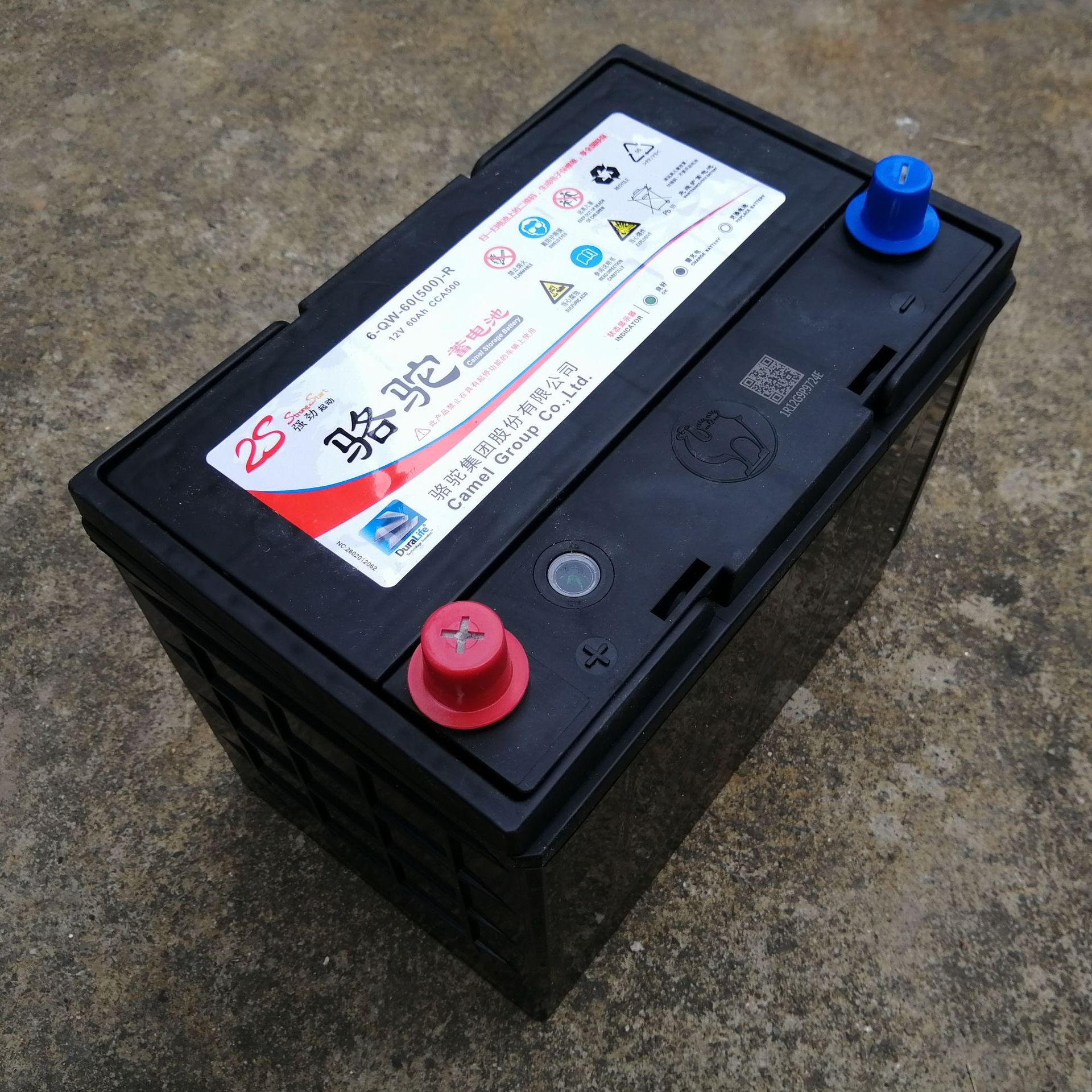骆驼蓄电池6-qwlz-60 铅酸免维护蓄电池 12v60ah(6-qw-60)电瓶