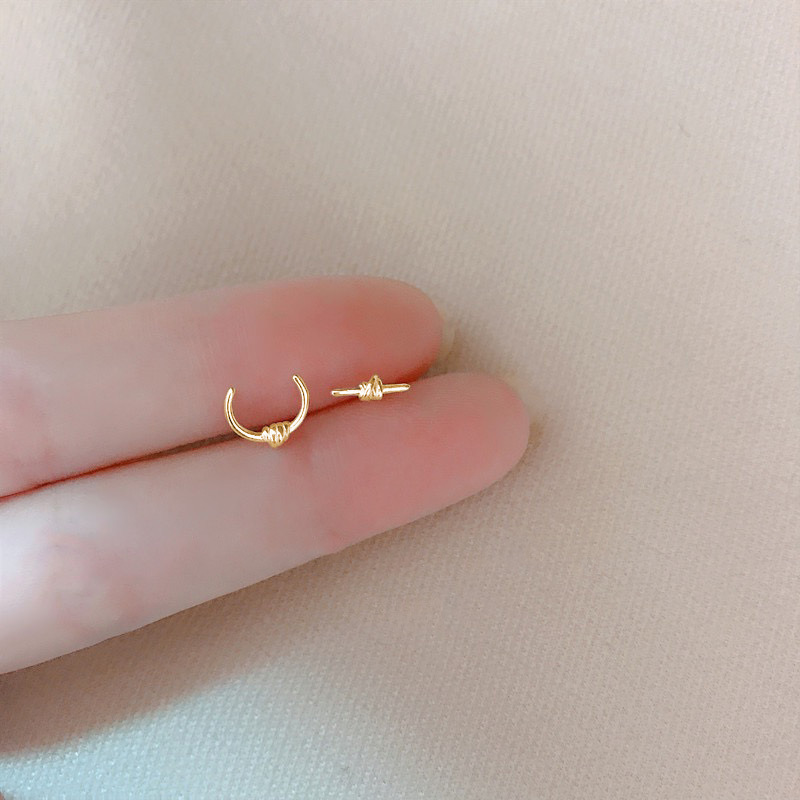 S925 Silver Stud Earrings for Female Students 2022 New Trendy Simple All-Match Small Design Ins Style Earrings Earrings