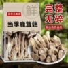 【无干燥剂发货】高山鹿茸菇干货炒腊肉农家特产脆菇净重炖汤批发|ru 【无干燥剂发货】高山鹿茸菇干货炒腊肉农家特产脆菇净重炖汤批发|ru