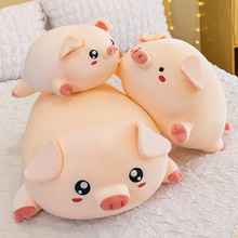 可爱猪猪公仔毛绒玩具大号布娃娃抱枕送儿童女生生日礼物小猪批发