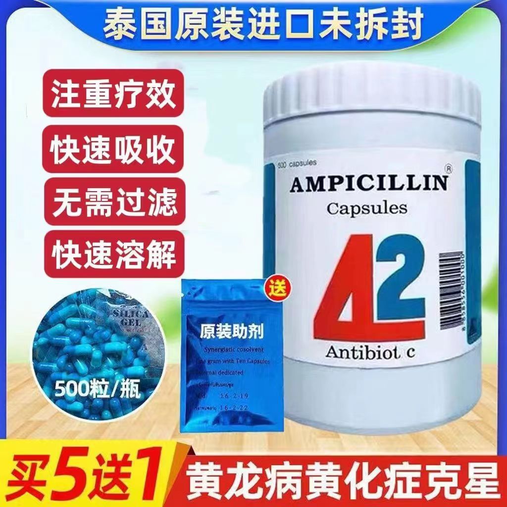 果树黄龙病专用药泰国42蓝色胶囊脐橙柑橘柚子红黑胶囊盐酸四环素