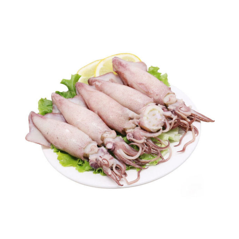 海兔满籽大小墨鱼仔海鲜水产鲜活冷冻笔管鱼全籽乌贼八爪鱼海兔子