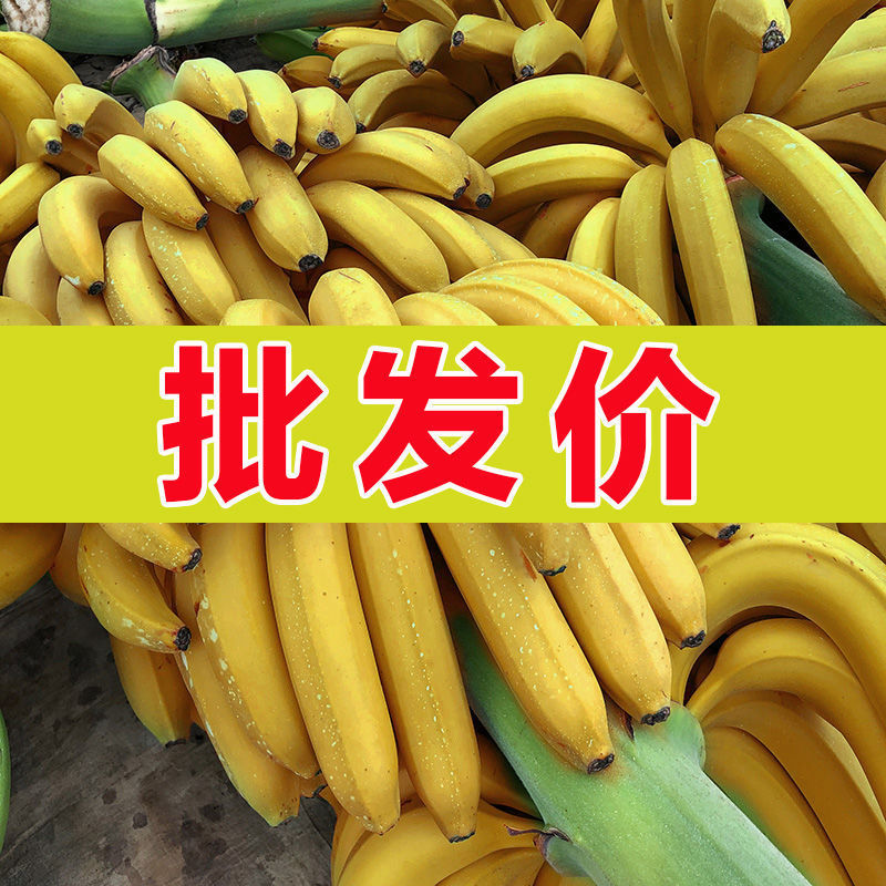 云南高山香甜大香蕉新鲜带箱10斤水果当季整箱自然熟1/5斤