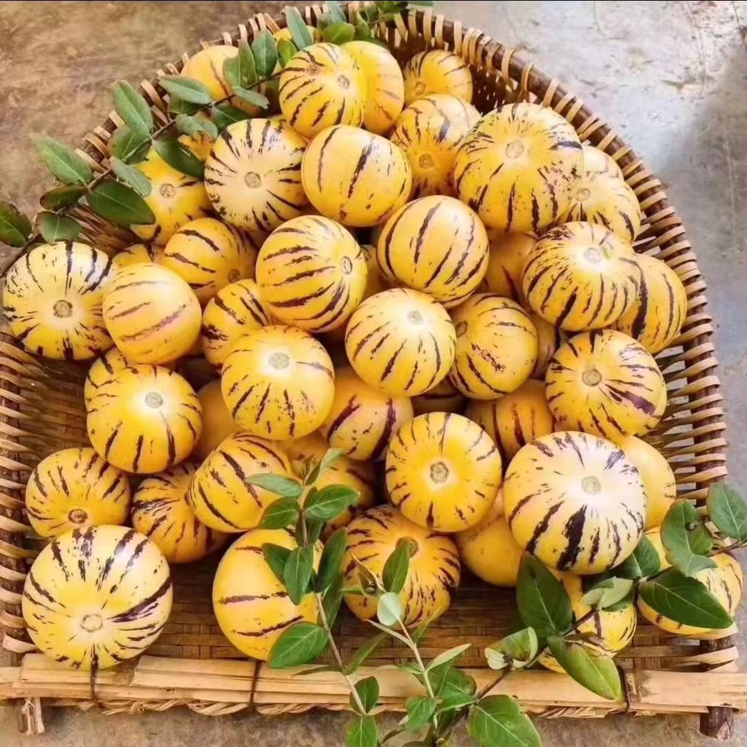 人参果9斤圆果当季新鲜孕妇水果香甜多汁黄肉人生果整箱大果包邮