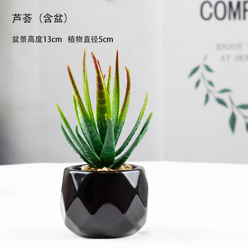 Green Plant Succulent Artificial Plant Home Furnishings Decoration Fake Flower Cross-Border Plastic Green Plant Small Bonsai