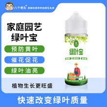 厂家供应八个老头绿叶宝植物通用型营养液体叶绿素绿植叶面肥料