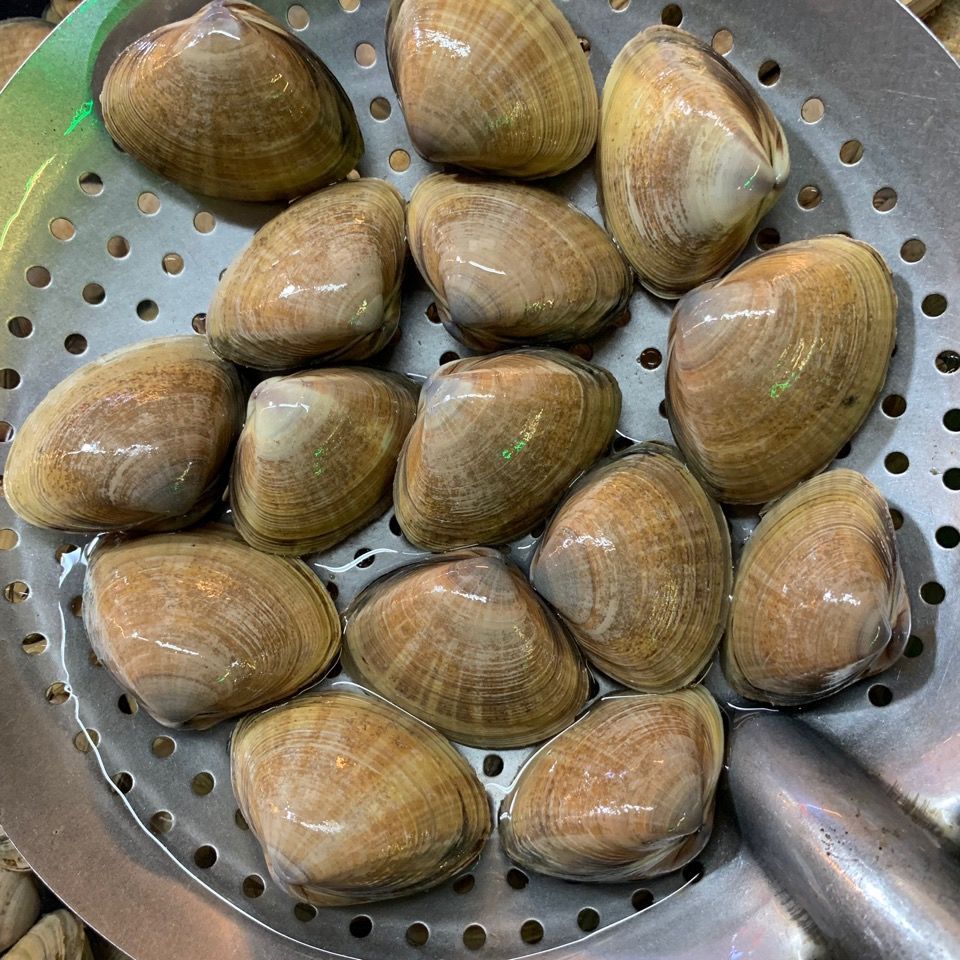 丹东特产大黄蚬子野生鲜活无沙生鲜海鲜贝类水产蛤蜊花甲包邮