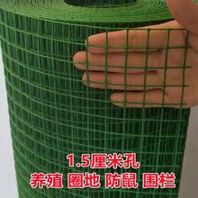 YM小孔绿网格包塑电焊网铁丝网围栏养殖网养鸡网荷兰网钢丝网防护