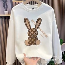 墨绿色卫衣女春秋薄款2024秋冬新款欧货无帽圆领加厚兔子上衣批发