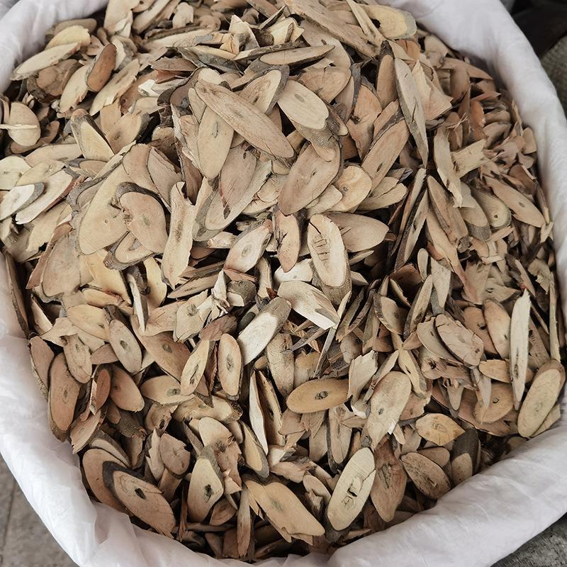 中药南板蓝根 南板蓝 南板蓝粒 南板蓝片 广西南板蓝