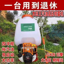 小型汽油打药机启动小型颗粒汽油打泵背负果树喷洒农用喷雾器